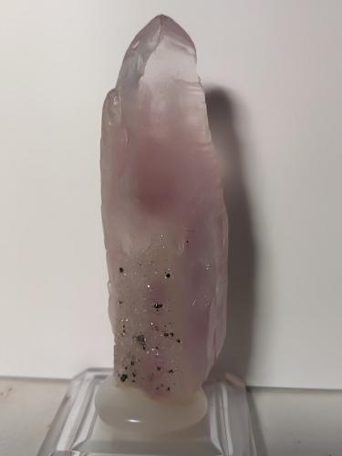 Quartz (variety amethyst), Pyrite<br />Niccioleta Mine, Massa Marittima, Grosseto Province, Tuscany, Italy<br />54,7 x 18,4 mm<br /> (Author: Sante Celiberti)