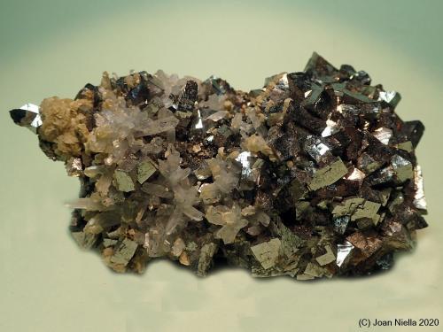 Arsenopirita<br />Mina Stan Trg (Stan Terg, Stari Trg), Complejo Trepča, Valle Trepča, Kosovska Mitrovica, Distrito Kosovska Mitrovica, Kosovo<br />9 x 5 cm<br /> (Autor: Joan Niella)