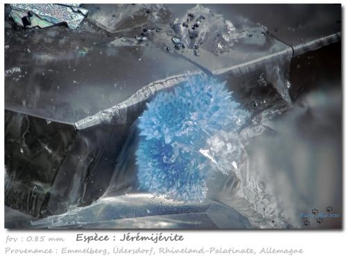 Jeremejevite<br />Emmelberg, Üdersdorf, Daun, Eifel, Rhineland-Palatinate/Rheinland-Pfalz, Germany<br />fov 0.85 mm<br /> (Author: ploum)