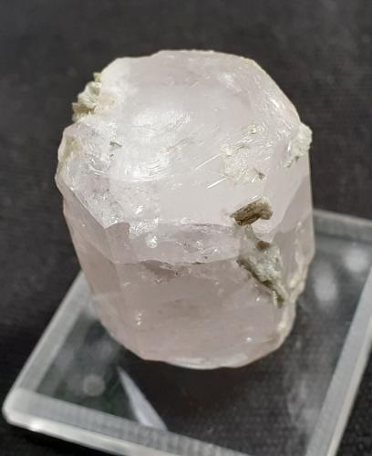 Beryl (variety morganite)<br />Elizabeth R. Mine, Chief Mountain, Pala, Pala District, San Diego County, California, USA<br />2,7 x 2 cm<br /> (Author: Volkmar Stingl)