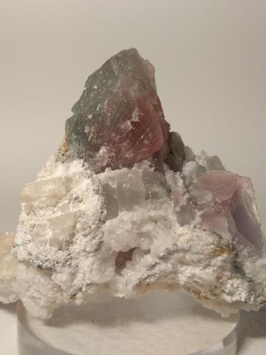 Fluorite<br />Campiglia Marittima, Campigliese, Livorno Province, Toscana, Italy<br />88 x 65 mm<br /> (Author: Sante Celiberti)