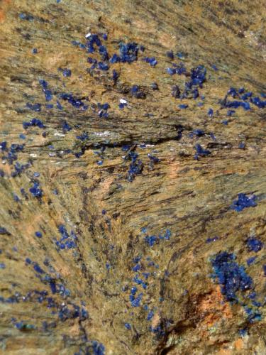 Azurite, Hedenbergite<br />Campiglia Marittima, Campigliese, Livorno Province, Toscana, Italy<br />95 x 75 mm<br /> (Author: Sante Celiberti)