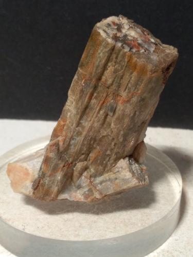 Scapolite<br />Campiglia Marittima, Campigliese, Livorno Province, Toscana, Italy<br />55 x 43 mm<br /> (Author: Sante Celiberti)