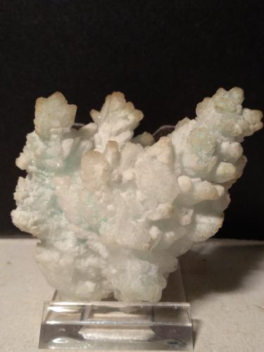 Aragonite (variety cuprian)<br />Campiglia Marittima, Campigliese, Livorno Province, Toscana, Italy<br />70 x 57 mm<br /> (Author: Sante Celiberti)