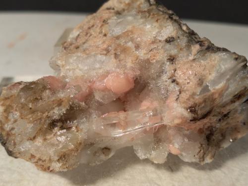 Rodhocrosite, Quartz<br />Campiglia Marittima, Campigliese, Livorno Province, Toscana, Italy<br />56 x 44 mm<br /> (Author: Sante Celiberti)