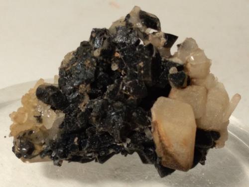 Ilvaite, Quartz (pseudo after Ilvaite)<br />Campiglia Marittima, Campigliese, Livorno Province, Toscana, Italy<br />40 x 26 mm<br /> (Author: Sante Celiberti)