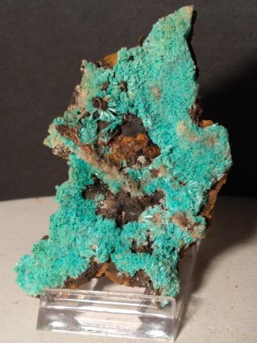 Aurichalcite, Hemimorphite<br />Campiglia Marittima, Campigliese, Livorno Province, Toscana, Italy<br />96 x 51 mm<br /> (Author: Sante Celiberti)