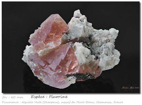 Fluorite<br />Aiguille Verte (La Charpoua side), Mont Blanc Massif, Chamonix, Haute-Savoie, Auvergne-Rhône-Alpes, France<br />fov 60 mm<br /> (Author: ploum)