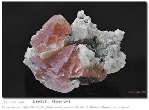 Fluorite<br />Aiguille Verte (lado La Charpoua), Mont Blanc, Chamonix, Haute-Savoie, Auvergne-Rhône-Alpes, Francia<br />fov 60 mm<br /> (Author: ploum)
