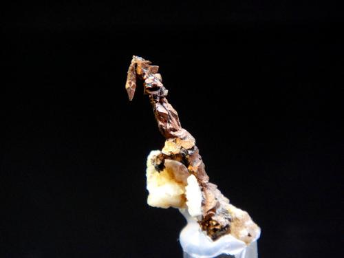 Cobre<br />Mina Guillermín, Grupo Minero Guillermín, Alcaracejos, Comarca Los Pedroches, Córdoba, Andalucía, España<br />2,4 x 0,8 cm.<br /> (Autor: Antonio P. López)