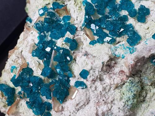 Wulfenite, Dioptase<br />Otavi, Región Otjozondjupa, Namibia<br />6 x 4,5 cm<br /> (Author: Volkmar Stingl)