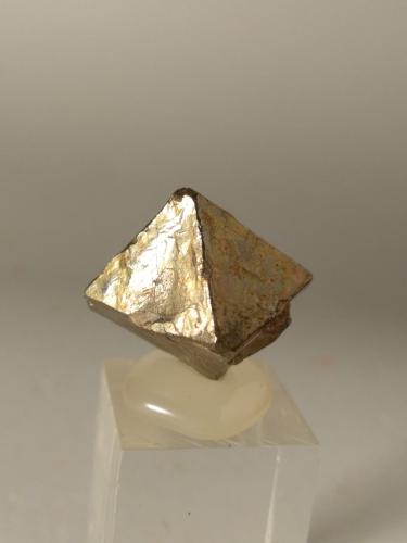 Pyrite<br />Rio Marina, Isla de Elba, Provincia Livorno, Toscana, Italia<br />20 x 18 mm<br /> (Author: Sante Celiberti)