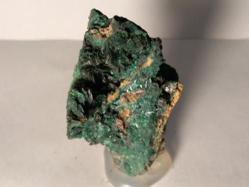 Malaquita<br />Cape Calamita, Capoliveri, Elba Island, Livorno Province, Tuscany, Italy<br />50 x 37 mm<br /> (Autor: Sante Celiberti)