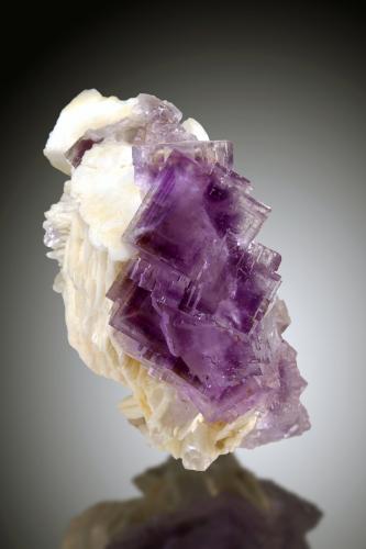 Fluorita, Barita<br />La Cabaña, Valdelmar, zona minera de Berbes, Berbes, Ribadesella, Comarca Oriente, Principado de Asturias (Asturias), España<br />13x10, cristales hasta 3cm<br /> (Autor: Raul Vancouver)