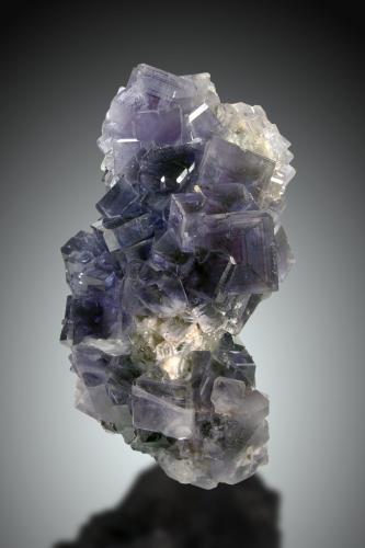 Fluorita<br />Coquera del Liso, La Cabaña, Valdelmar, zona minera de Berbes, Berbes, Ribadesella, Comarca Oriente, Principado de Asturias (Asturias), España<br />14x9cm, cristales hasta 2.5cm<br /> (Autor: Raul Vancouver)