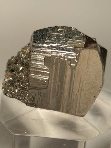 Pyrite<br />Rio Marina, Isla de Elba, Provincia Livorno, Toscana, Italia<br />27 x 22 mm<br /> (Author: Sante Celiberti)