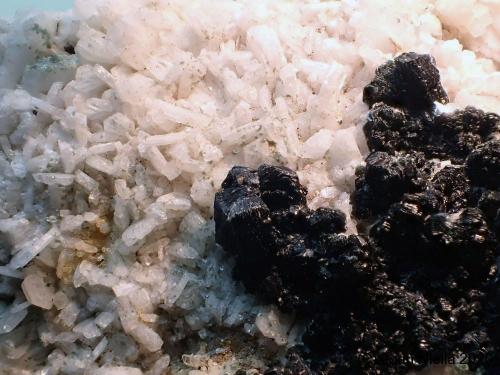 Albita<br />Marble Quarries, Macael, Comarca Valle del Almanzora, Almería, Andalusia, Spain<br />CV 3 x 2 cm<br /> (Autor: Joan Niella)