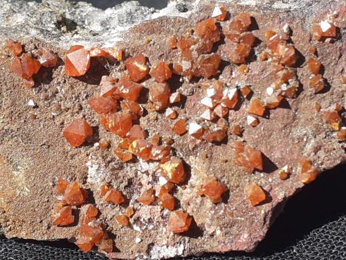 Wulfenite<br />Melissa Mine, Silver District, La Paz County, Arizona, USA<br />4 x 2 cm<br /> (Author: Volkmar Stingl)