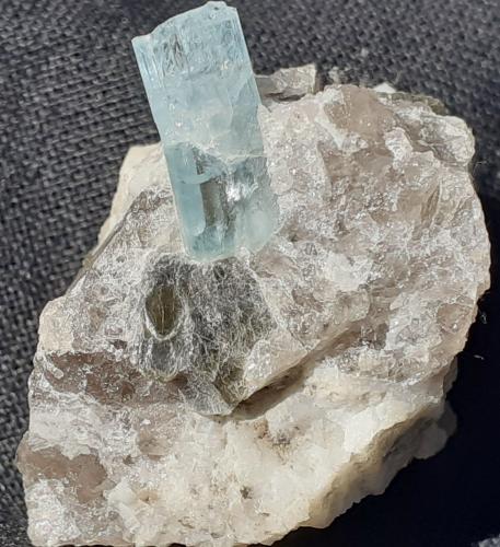 Beryl (variety aquamarine)<br />Albigna Valley, Vicosprano, Bergell Valley (Val Bregaglia; Val Bargaja), Grischun (Grisons; Graubünden), Switzerland<br />2,5 x 2 cm<br /> (Author: Volkmar Stingl)