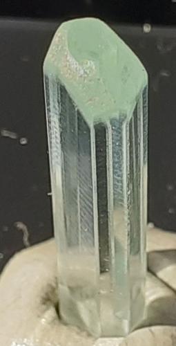 Beryl (variety aquamarine)<br />Gilgit District, Gilgit-Baltistan (Northern Areas), Pakistan<br />3 x 0,5 cm<br /> (Author: Volkmar Stingl)