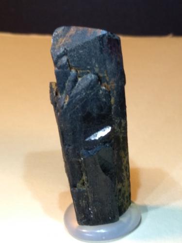 Ilvaite<br />Torre di Rio, Santa Filomena area, Rio Marina, Elba Island, Livorno Province, Tuscany, Italy<br />50 x 18 mm<br /> (Author: Sante Celiberti)