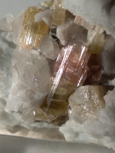 Elbaite, Quartz, Orthoclase<br />Fonte del Prete, San Piero in Campo, Campo nell'Elba, Isla de Elba, Provincia Livorno, Toscana, Italia<br />68 x 40 mm<br /> (Author: Sante Celiberti)