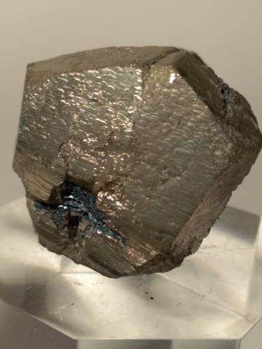 Pyrite, Hematite<br />Rio Marina, Isla de Elba, Provincia Livorno, Toscana, Italia<br />28 x 26 mm<br /> (Author: Sante Celiberti)