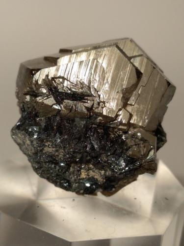 Pyrite, Hematite<br />Rio Marina, Isla de Elba, Provincia Livorno, Toscana, Italia<br />32 x 31 mm<br /> (Author: Sante Celiberti)