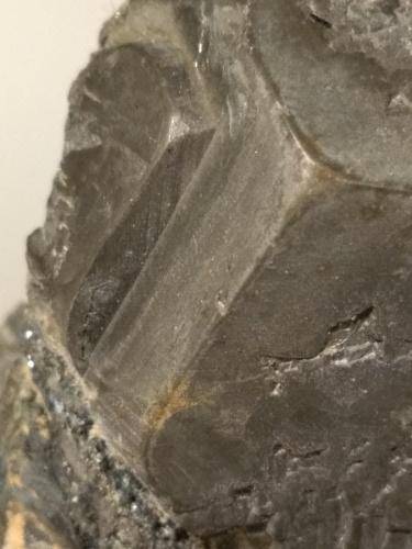 Pyrite, Hematite<br />Rio Marina, Isla de Elba, Provincia Livorno, Toscana, Italia<br />51 x 45 mm<br /> (Author: Sante Celiberti)