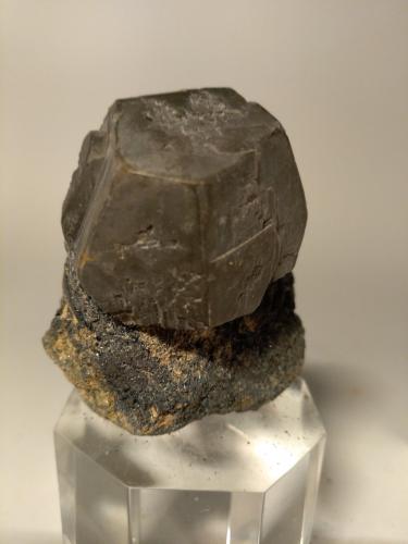 Pyrite, Hematite<br />Rio Marina, Isla de Elba, Provincia Livorno, Toscana, Italia<br />51 x 45 mm<br /> (Author: Sante Celiberti)