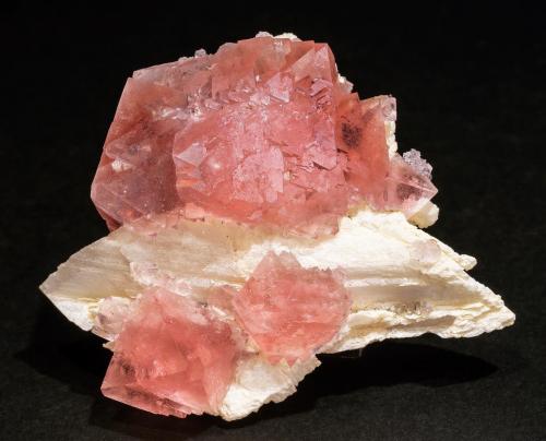 Fluorite on Albite<br />Aiguille Verte, Mont Blanc Massif, Chamonix, Haute-Savoie, Auvergne-Rhône-Alpes, France<br />Specimen size: 5.3 × 4.6 × 2.6 cm / main crystal size: 2 × 1.8 cm<br /> (Author: Jordi Fabre)