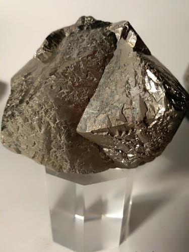 Pyrite<br />Mina Rio (Mina Rio Marina), realce Valle Giove, Rio Marina, Isla de Elba, Provincia Livorno, Toscana, Italia<br /><br /> (Author: Sante Celiberti)