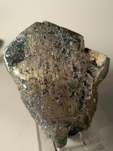 Pyrite, Hematite<br />Mina Rio (Mina Rio Marina), realce Valle Giove, Rio Marina, Isla de Elba, Provincia Livorno, Toscana, Italia<br />74 x 64 mm<br /> (Author: Sante Celiberti)