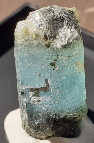 Beryl (variety Aquamarine)<br />Sedl, Habach Valley, Hohe Tauern, Salzburg, Austria<br />2,5 x 1,3 cm<br /> (Author: Volkmar Stingl)