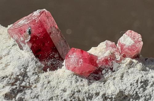 Beryl (variety Red Beryl)<br />Wah Wah Mountains, Beaver County, Utah, USA<br />3,5 x 3 cm<br /> (Author: Volkmar Stingl)