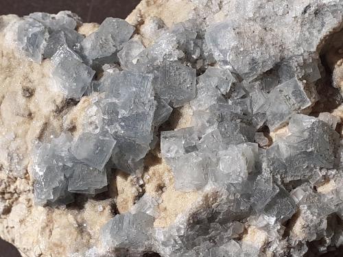 Fluorite<br />Rehrlköpfl, Vorderkrimml, Wald im Pinzgau, Zell am See District, Salzburg, Austria<br />10 x 6 cm<br /> (Author: Volkmar Stingl)