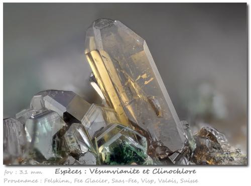 Vesuvianite and Clinochlore<br />Felskinn, Fee Glacier, Saas Fee, Saas Valley, Zermatt - Saas Fee, Wallis (Valais), Switzerland<br />fov 3.1 mm<br /> (Author: ploum)