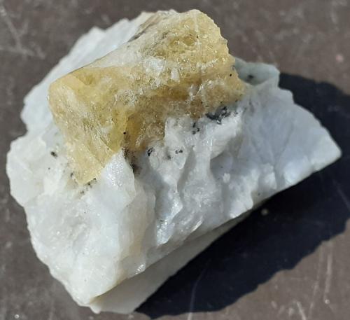 Beryl<br />Lauvland 04 Quarry (Brattekleiv), Lauvland, Evje og Hornnes, Agder, Norway<br />3 x 3 cm<br /> (Author: Volkmar Stingl)