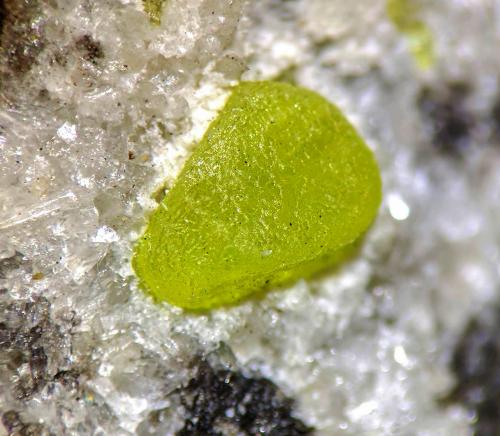 Azufre, Calcita<br />Mina Cáucaso, Minas de Conil, Conil de la Frontera, Comarca La Janda, Cádiz, Andalucía, España<br />Cristal: 0,4 x 0,3 cm.<br /> (Autor: Carles)