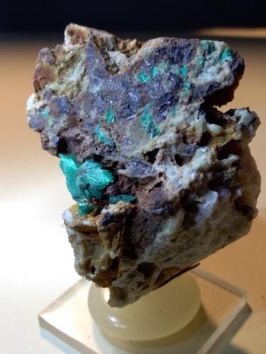 Malaquita<br />Cape Calamita, Capoliveri, Elba Island, Livorno Province, Tuscany, Italy<br />50 x 37 mm<br /> (Autor: Sante Celiberti)