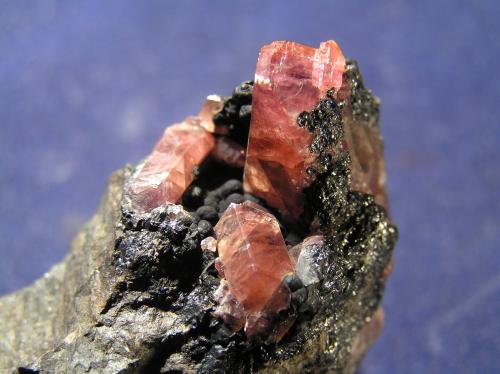Rodocrosita<br />Uchucchacua Mine, Oyón Province, Lima Department, Peru<br />5,5 x 4 x 2,5 (pieza).  Cristal mayor 1,5 cm<br /> (Autor: Frederic Varela)