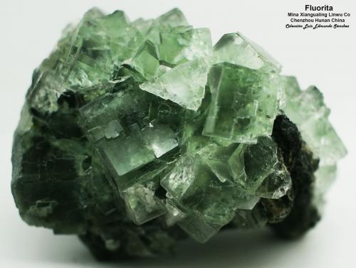 Fluorita<br />Mina Xianghualing, Xianghualing, Linwu, Prefectura Chenzhou, Provincia Hunan, China<br />6x6x5 cm<br /> (Autor: Luis Edmundo Sánchez Roja)