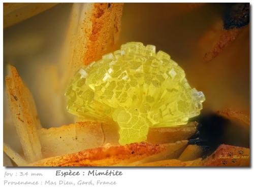 Mimetite<br />Mas Dieu, Mercoirol, Alès, Gard, Occitanie, France<br />fov 3.4 mm<br /> (Author: ploum)