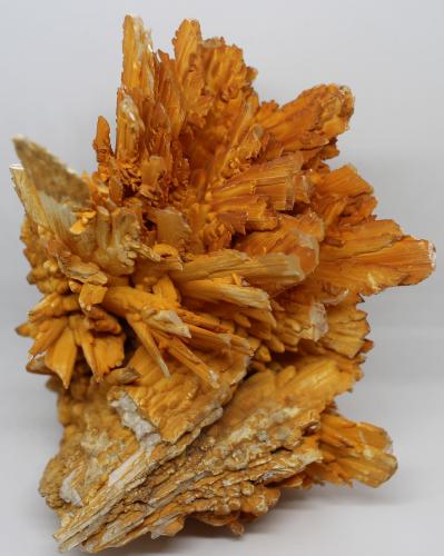 Yeso (variedad selenita)<br />Mina Naica, Naica, Municipio Saucillo, Chihuahua, México<br />10x6x5 cm<br /> (Autor: Luis Edmundo Sánchez Roja)