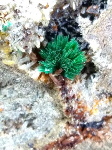 Malaquita<br />Cape Calamita, Capoliveri, Elba Island, Livorno Province, Tuscany, Italy<br />57 x 43 mm<br /> (Autor: Sante Celiberti)