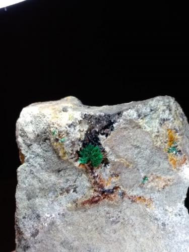 Malaquita<br />Cape Calamita, Capoliveri, Elba Island, Livorno Province, Tuscany, Italy<br />57 x 43 mm<br /> (Autor: Sante Celiberti)