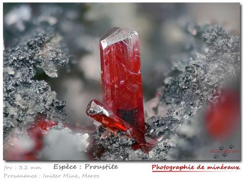 Proustite<br />Mina Imiter, Jebel Saghro, Distrito Imiter, Provincia Tinghir, Región Drâa-Tafilalet, Marruecos<br />fov 3.2 mm<br /> (Author: ploum)