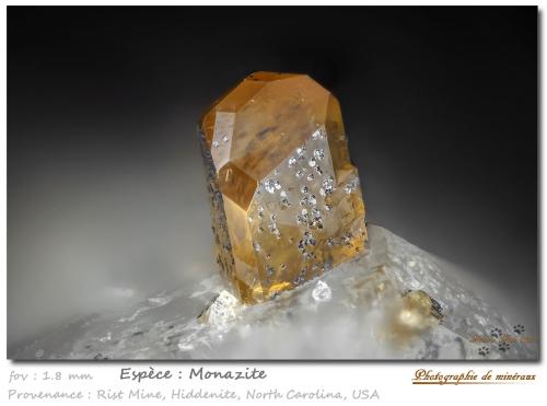 Monazite-(Ce)<br />Rist Mine, Hiddenite, Alexander County, North Carolina, USA<br />fov 1.8 mm<br /> (Author: ploum)