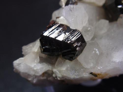 Casiterita, Arsenopirita<br />Minas da Panasqueira, Aldeia de São Francisco de Assis, Covilhã, Castelo Branco, Cova da Beira, Centro, Portugal<br />50x25 mm<br /> (Autor: Ignacio)