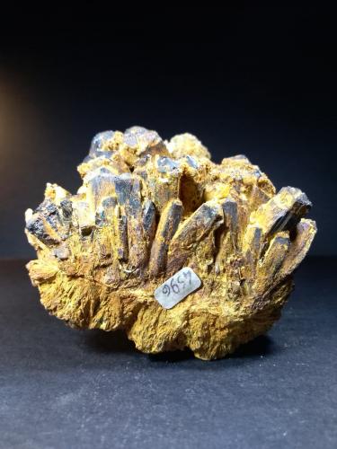 Ilvaite, Quartz<br />Torre di Rio, Santa Filomena area, Rio Marina, Elba Island, Livorno Province, Tuscany, Italy<br />10 x 10 cm<br /> (Author: Sante Celiberti)